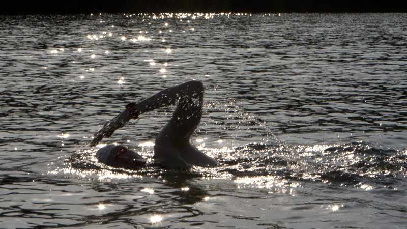 Swimmer in open water with sparkle from the sunlight
